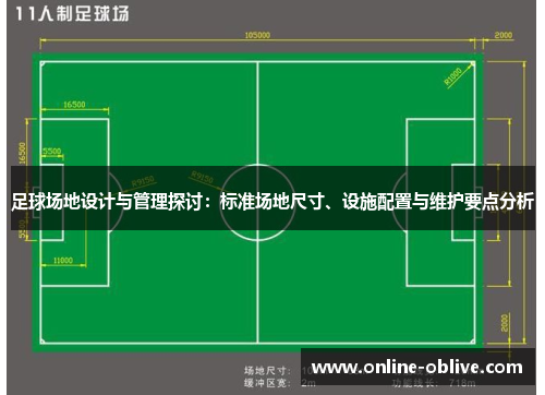 足球场地设计与管理探讨：标准场地尺寸、设施配置与维护要点分析