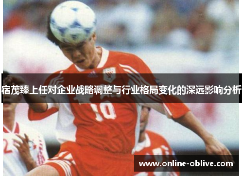宿茂臻上任对企业战略调整与行业格局变化的深远影响分析
