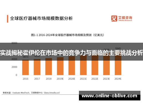 实战揭秘霍伊伦在市场中的竞争力与面临的主要挑战分析