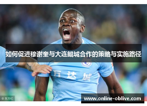 如何促进穆谢奎与大连鲲城合作的策略与实施路径