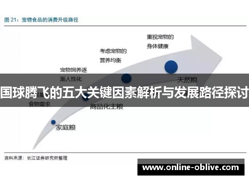 国球腾飞的五大关键因素解析与发展路径探讨