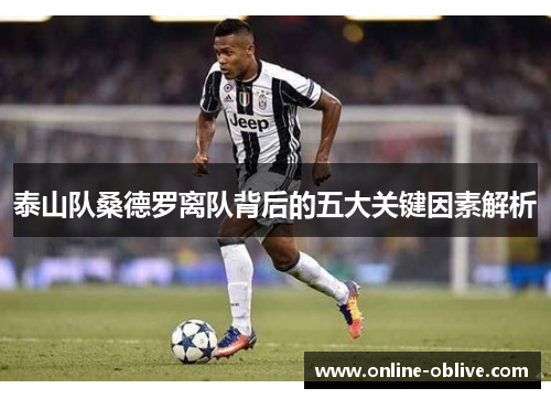泰山队桑德罗离队背后的五大关键因素解析