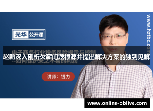 赵鹏深入剖析欠薪问题根源并提出解决方案的独到见解