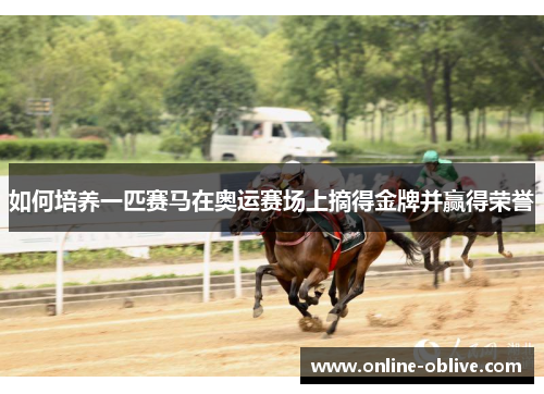 如何培养一匹赛马在奥运赛场上摘得金牌并赢得荣誉