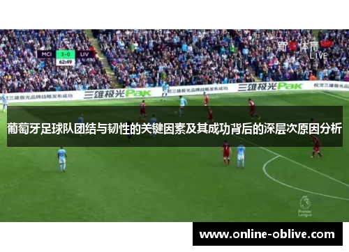 葡萄牙足球队团结与韧性的关键因素及其成功背后的深层次原因分析