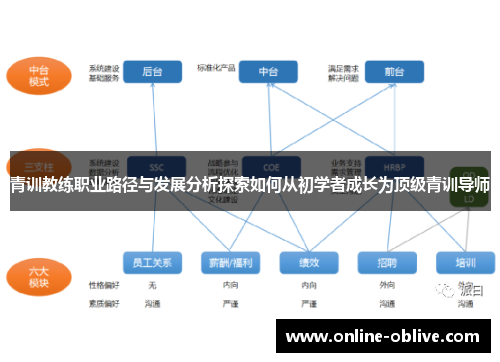 青训教练职业路径与发展分析探索如何从初学者成长为顶级青训导师